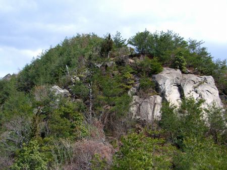 呉娑々宇山～高尾山(岩谷観音)