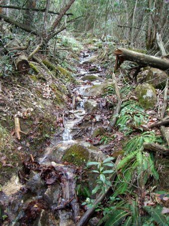 鎌倉寺山、槍ガ峰