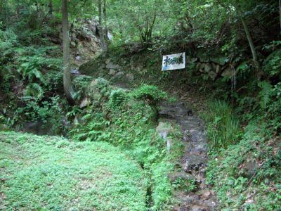 呉娑々宇山(水谷峡)