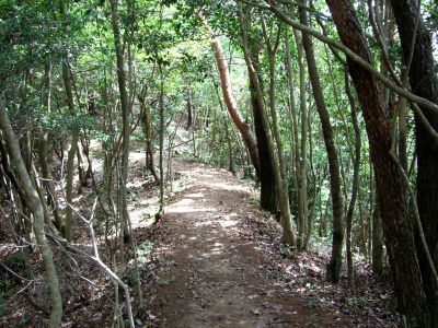 呉娑々宇山(水谷峡)