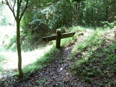 呉娑々宇山(水谷峡)