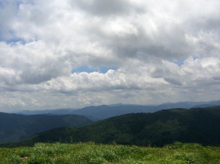 深入山