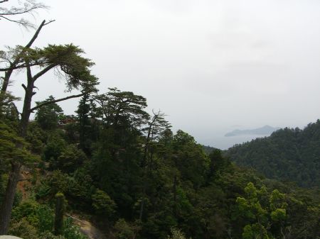 弥山(宮島)