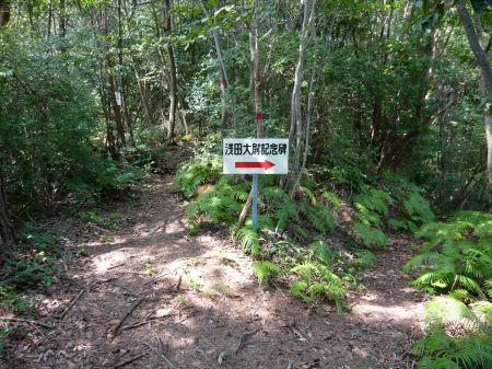 河平連山(河平山)