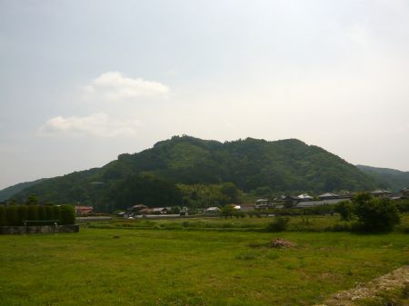 阿賀城山