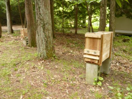 蜜蜂の巣箱