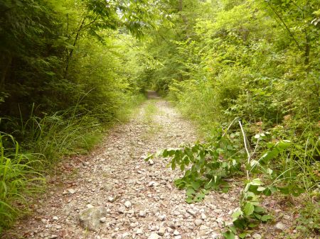 竜王山(龍王山)