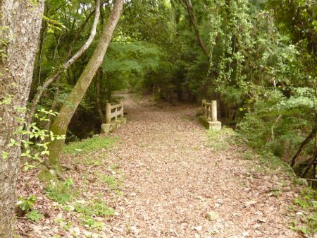 竜王山(龍王山)