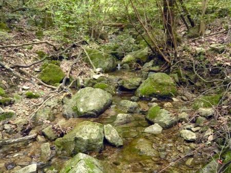 竜王山(龍王山)