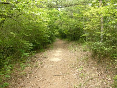 竜王山(龍王山)