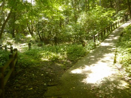 古城山(今高野山)