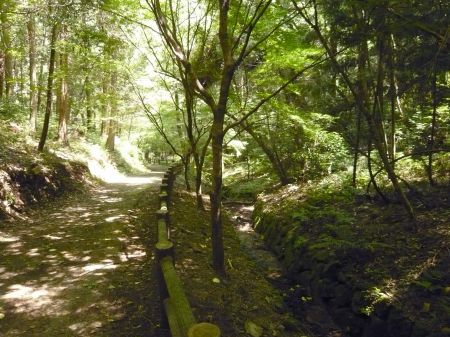 古城山(今高野山)