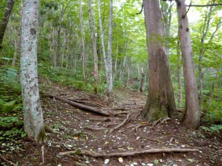 クロソン岩分岐