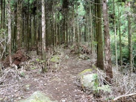カンノ木山、鷹ノ巣山