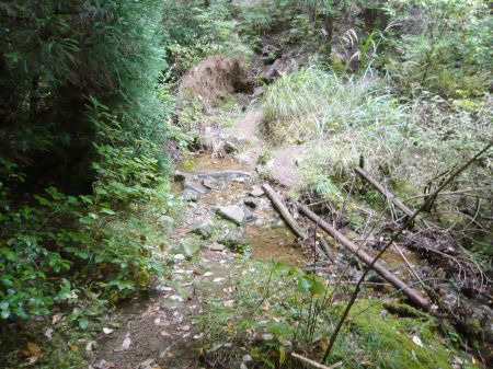 カンノ木山、鷹ノ巣山