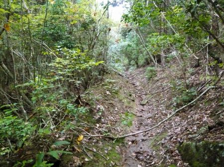 カンノ木山、鷹ノ巣山