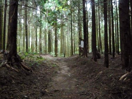 カンノ木山、鷹ノ巣山
