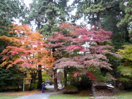 古城山(今高野山)