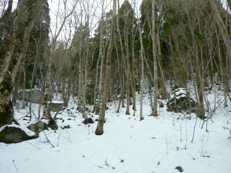 クロソン岩分岐