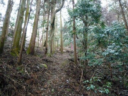 高鉢山～高鉢槍～安駄山