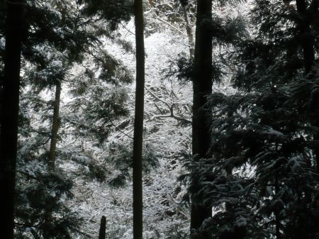 高鉢山～高鉢槍～安駄山