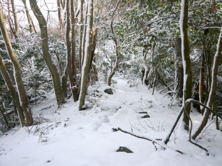 高鉢山～高鉢槍～安駄山