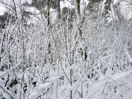 高鉢山～高鉢槍～安駄山