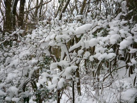 高鉢山～高鉢槍～安駄山
