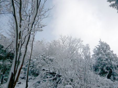 高鉢山～高鉢槍～安駄山