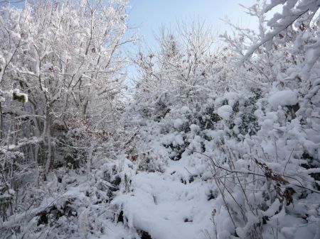 高鉢山～高鉢槍～安駄山