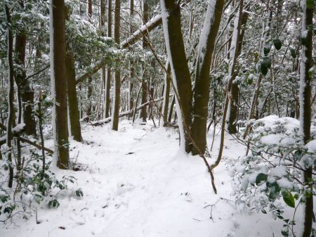 高鉢山～高鉢槍～安駄山