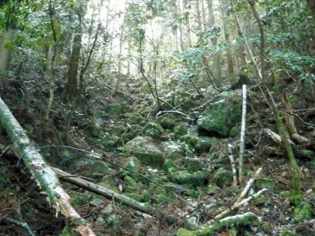 高鉢山～高鉢槍～安駄山