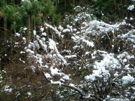 高鉢山～高鉢槍～安駄山
