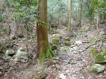 鬼ヶ城山～白木山