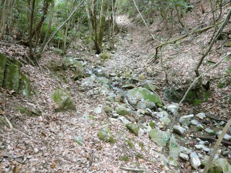 鬼ヶ城山～白木山