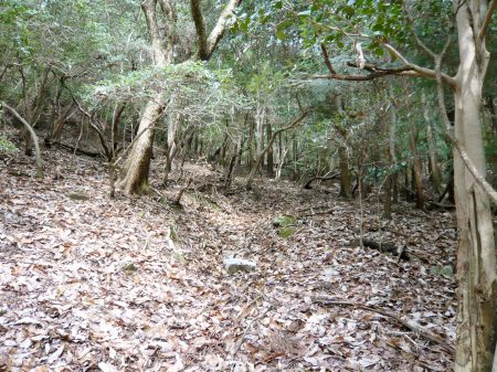 鬼ヶ城山～白木山