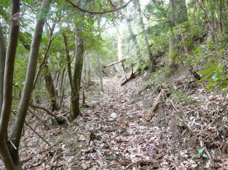 鬼ヶ城山～白木山