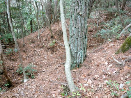 鬼ヶ城山～白木山