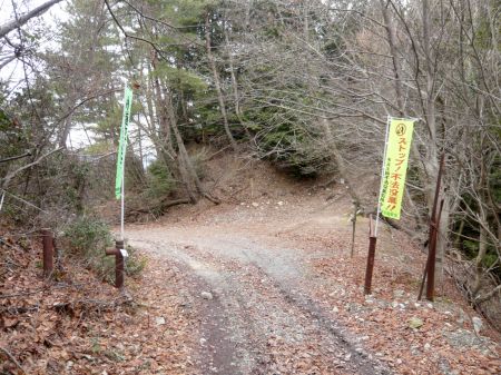 林道、山道の分岐