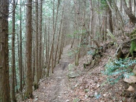 鬼ヶ城山～白木山