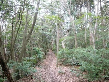 鬼ヶ城山～白木山