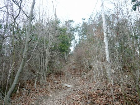 鬼ヶ城山～白木山