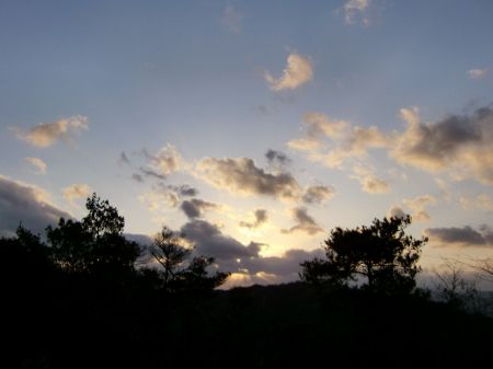 銅鐸銅剣出土地分岐