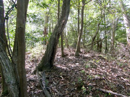 椎村山～中山