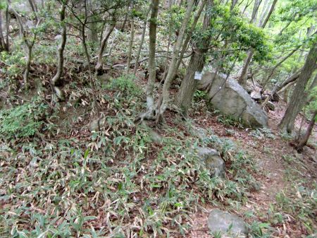 岩淵山～感応山