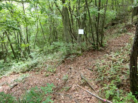 岩淵山～感応山