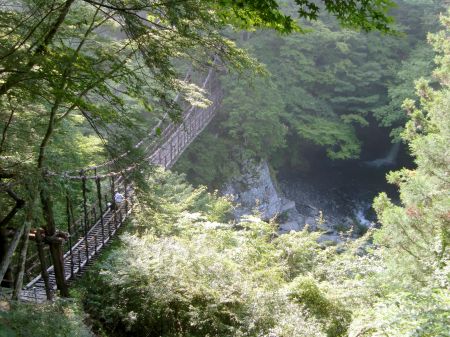 奥祖谷かずら橋