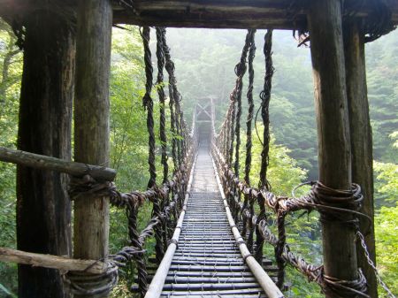 奥祖谷かずら橋