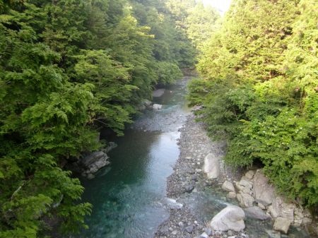 奥祖谷かずら橋