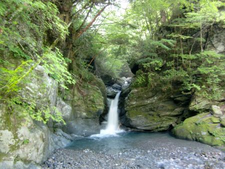 奥祖谷かずら橋